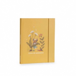Livre de naissance 3 petits lapins MOULIN ROTY